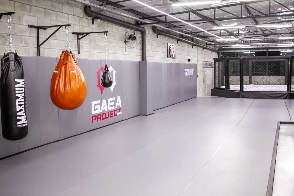 Atletas do UFC, Karol Rosa e Denise Gomes criam a GAEA Project e fortalecem protagonismo feminino nas lutas 1