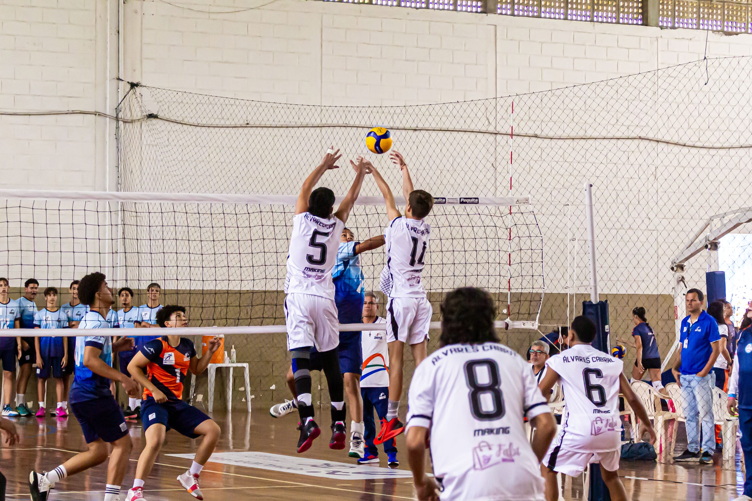 Vôlei capixaba agita a Sesport com estadual sub-17 e sub-19
